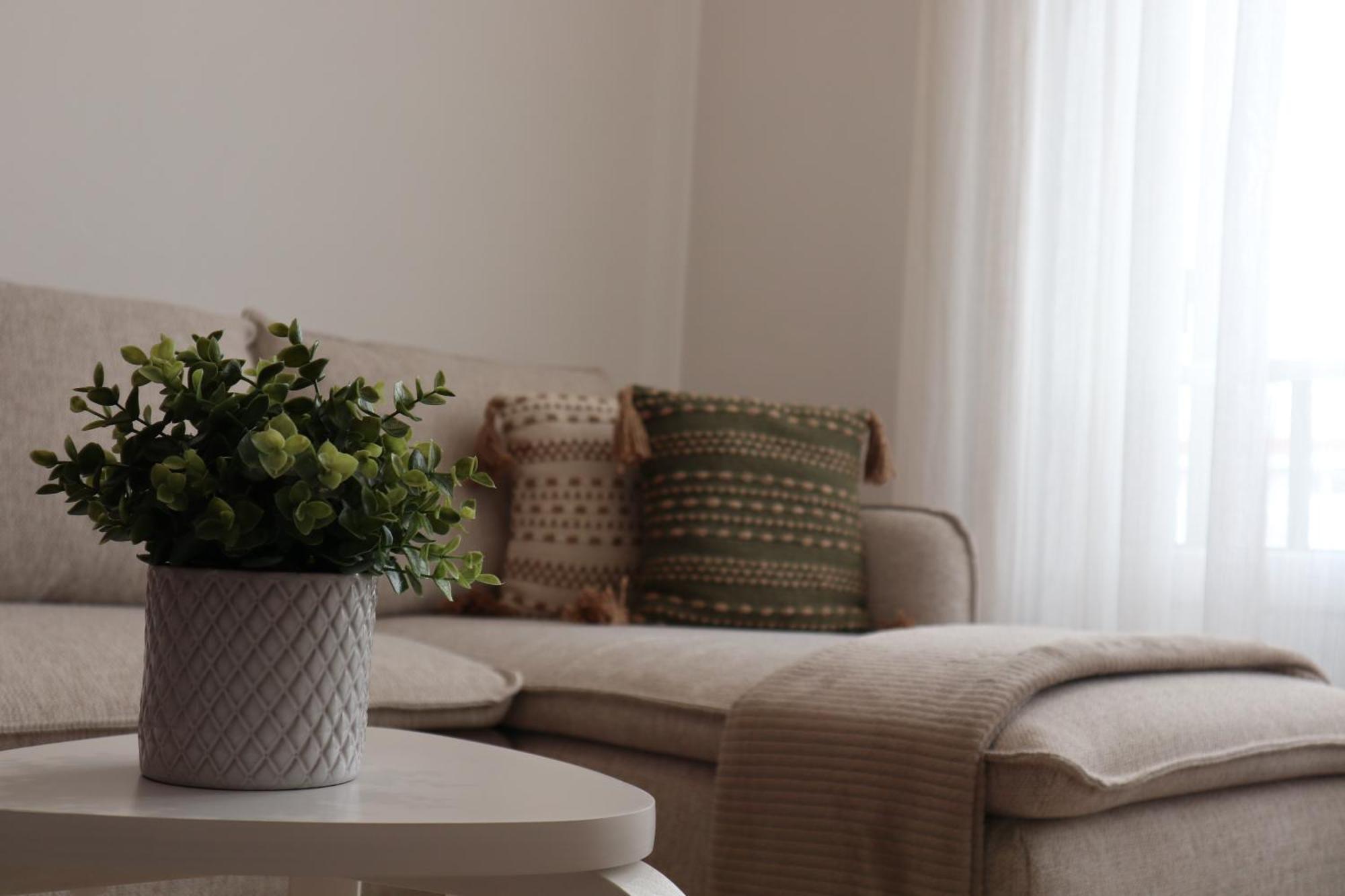 Appartement Wild Blue By Svl à Ponta Delgada Extérieur photo